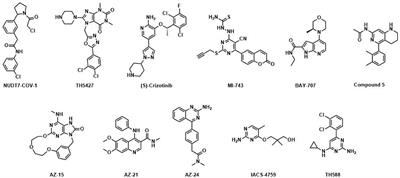 In silico Druggability Assessment of the NUDIX Hydrolase Protein Family as a Workflow for Target Prioritization